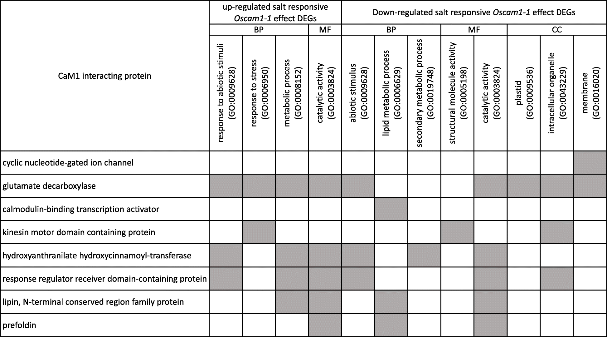 Fig. 10