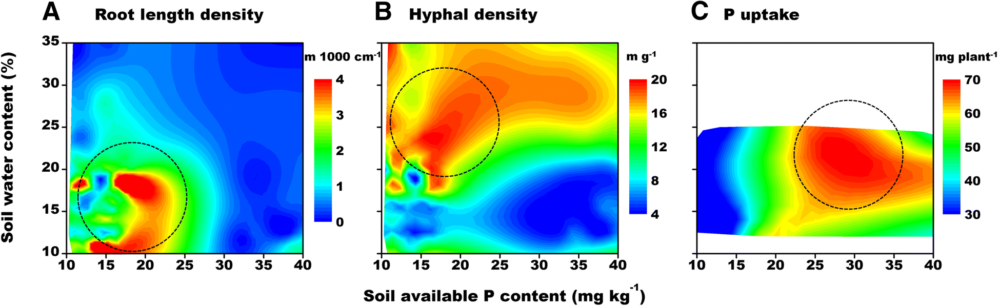 Fig. 6