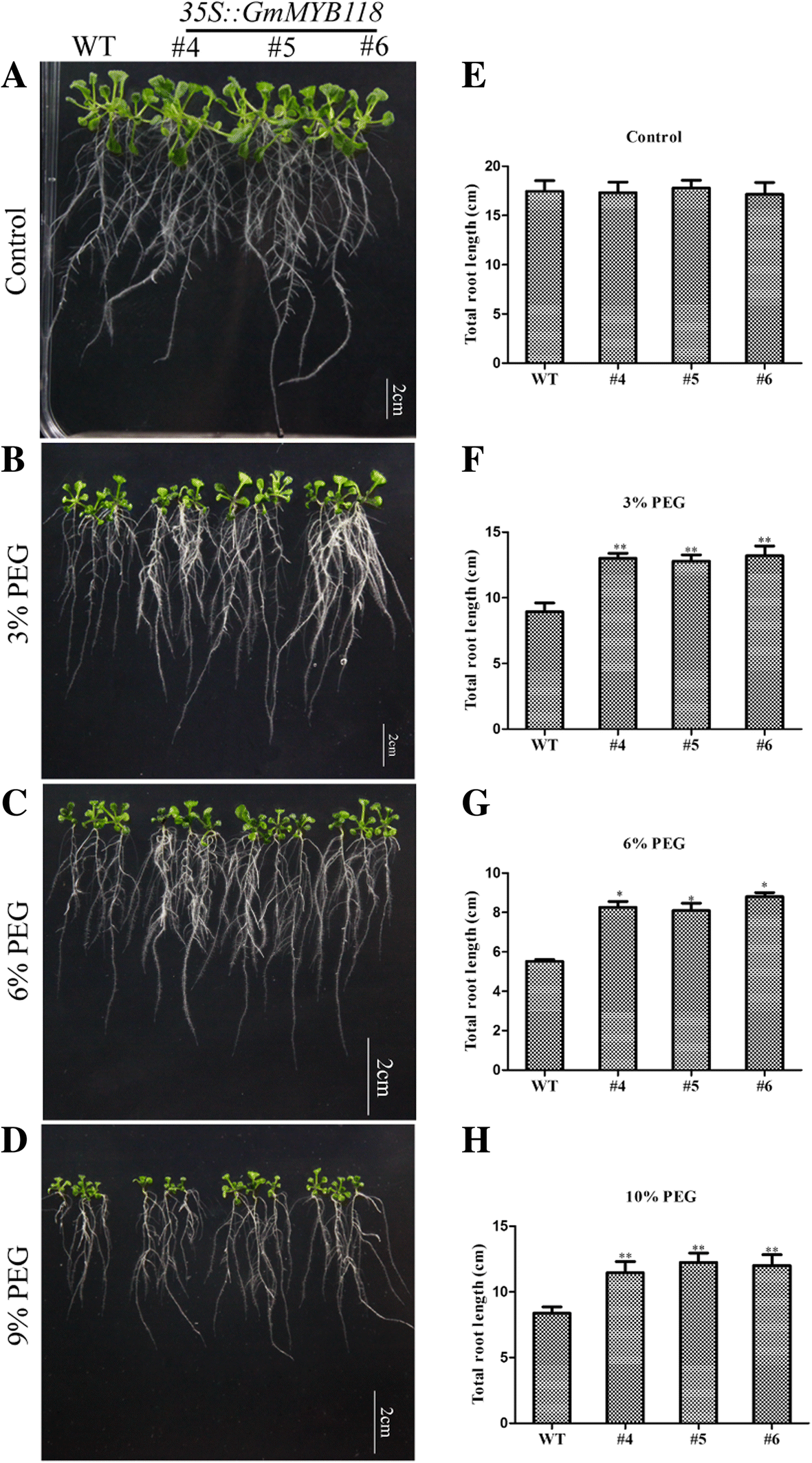 Fig. 5