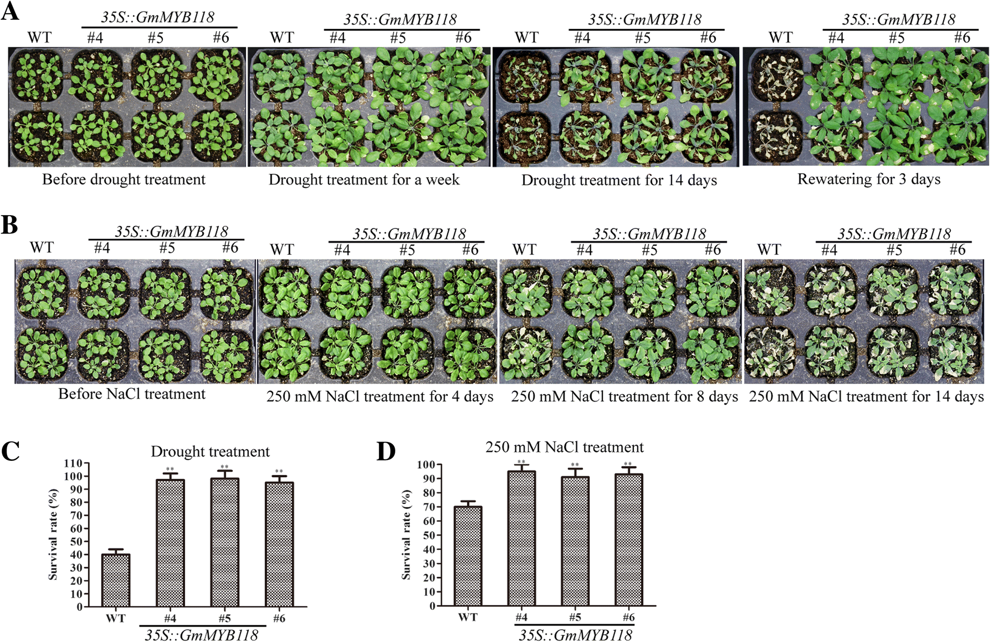 Fig. 7