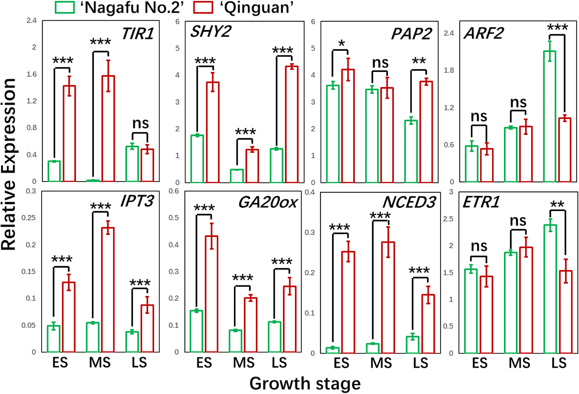 Fig. 10