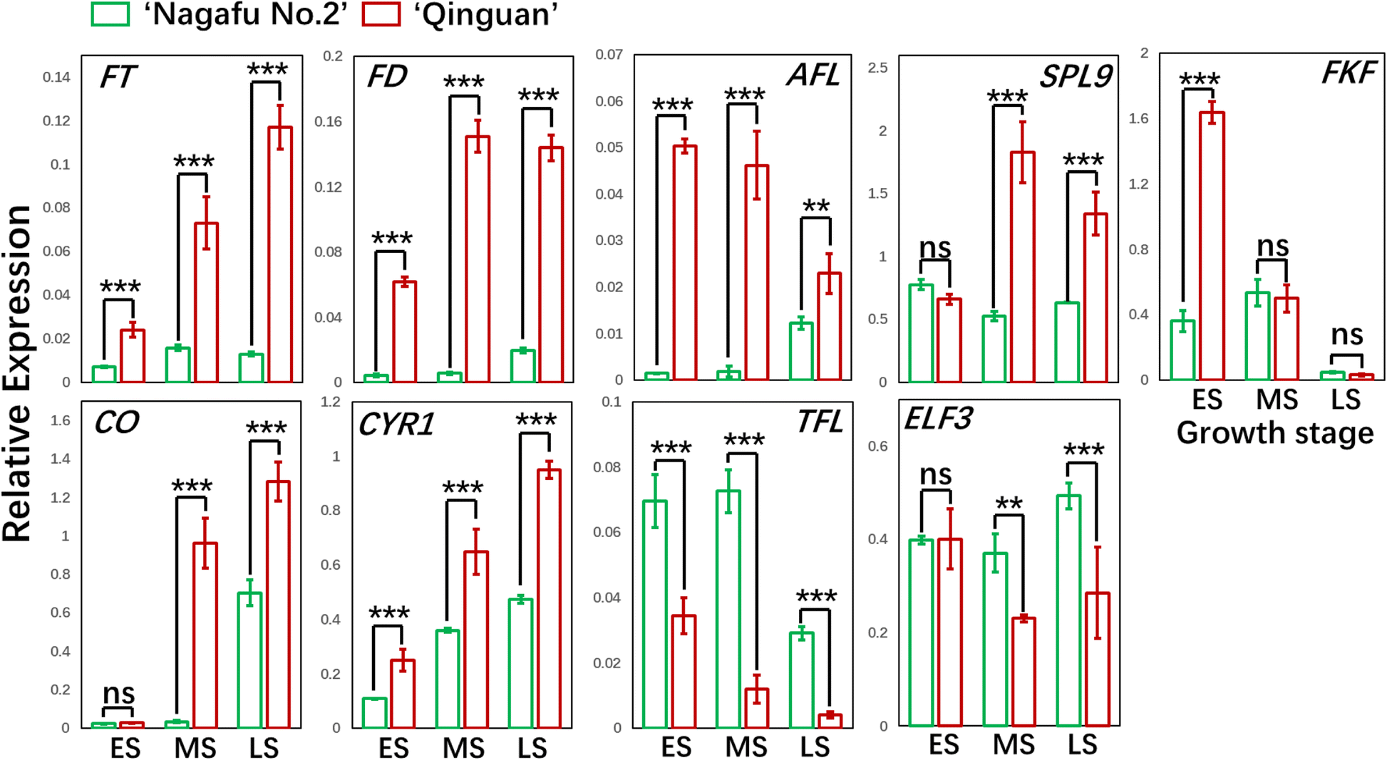 Fig. 12