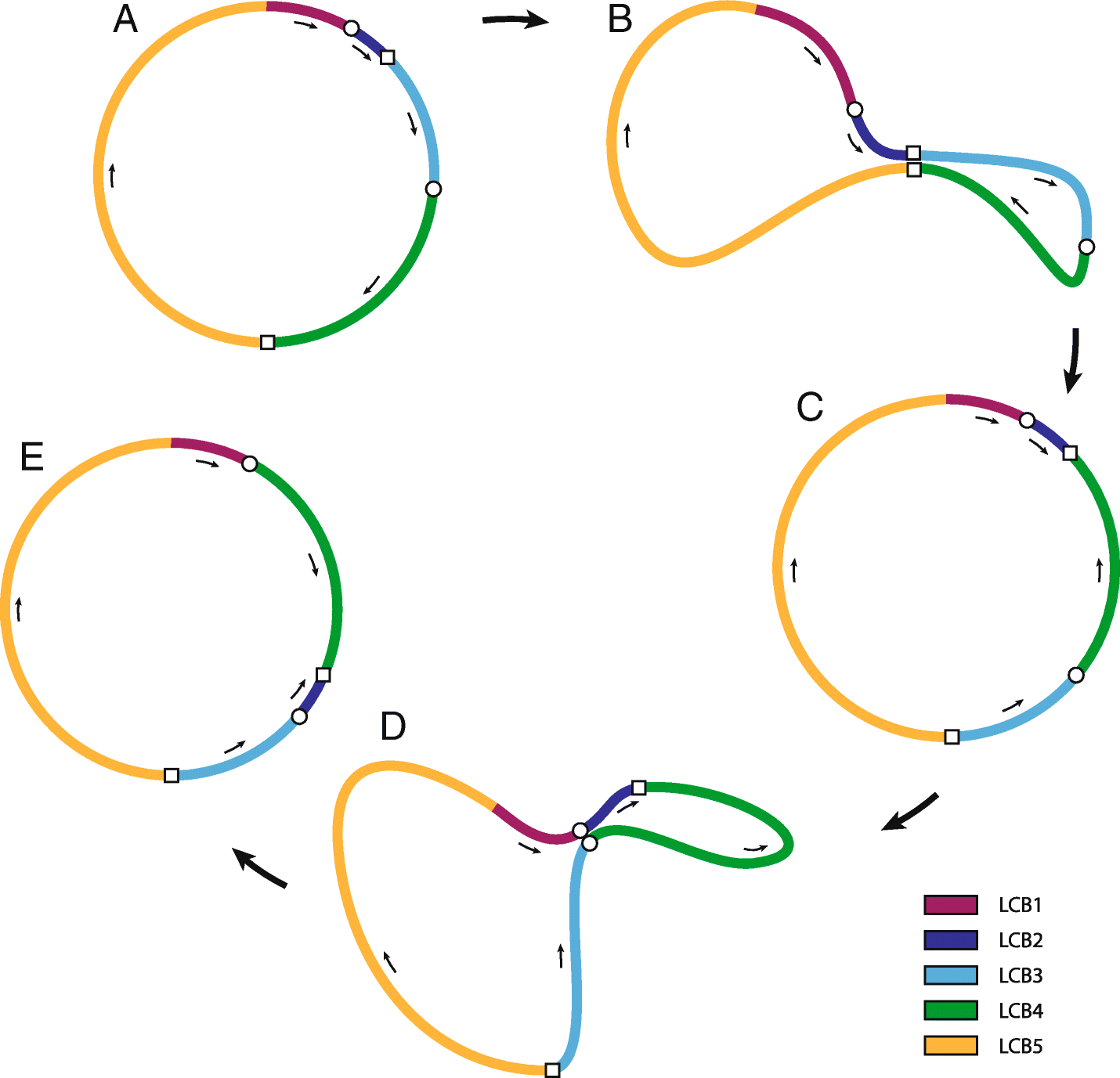 Fig. 5