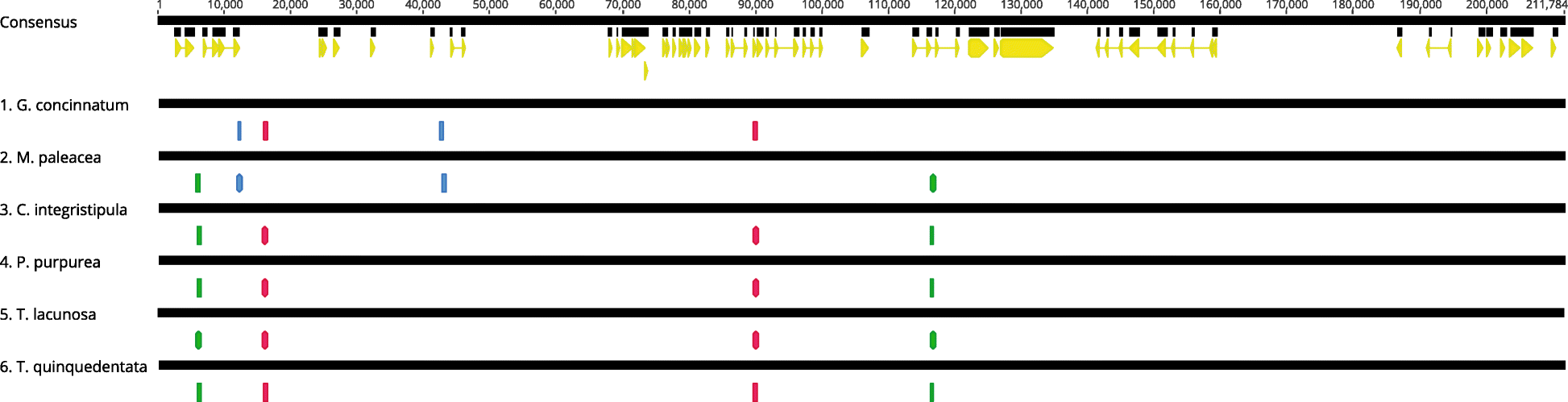 Fig. 6