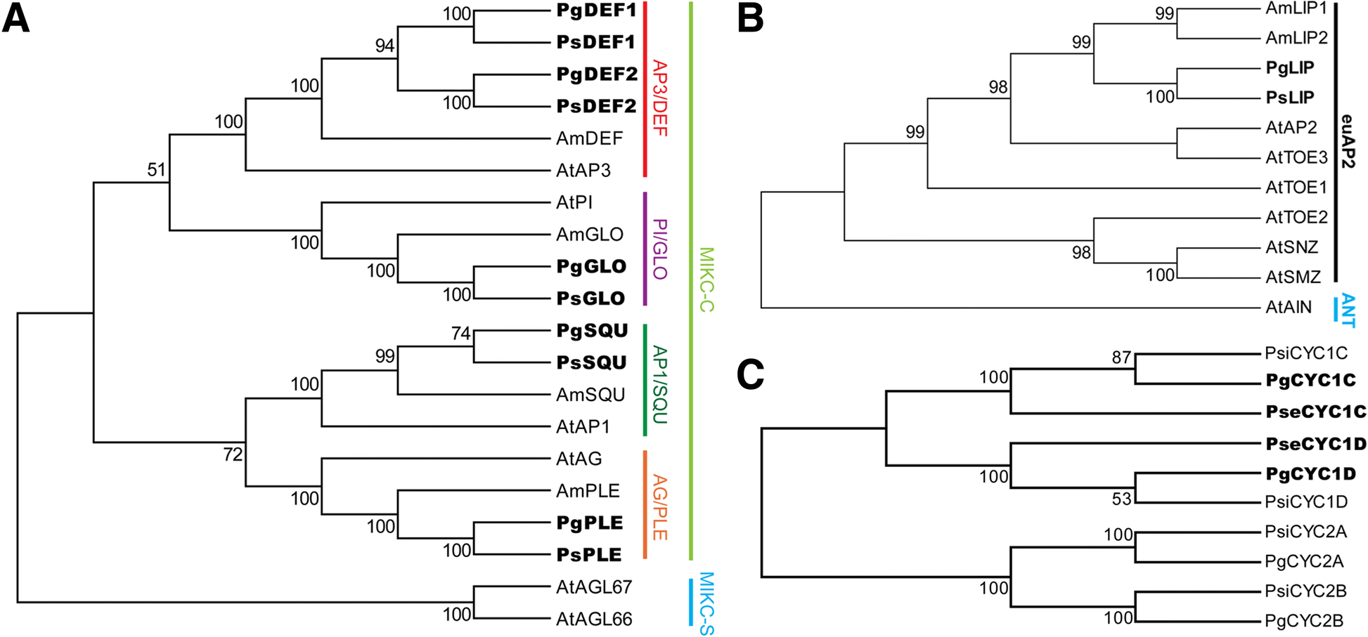 Fig. 3