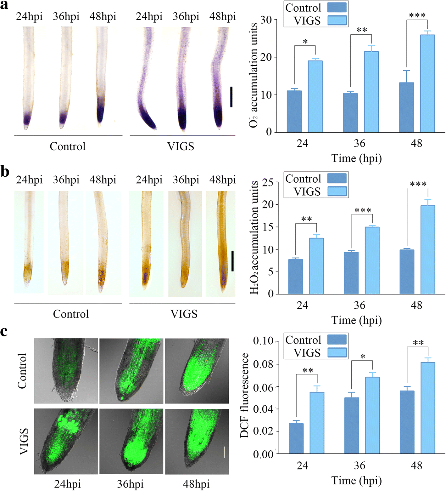 Fig. 8