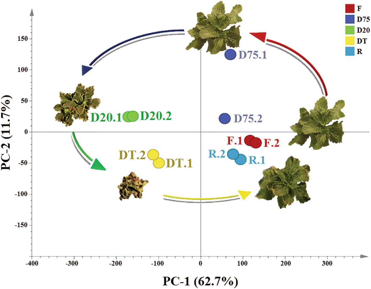 Fig. 2