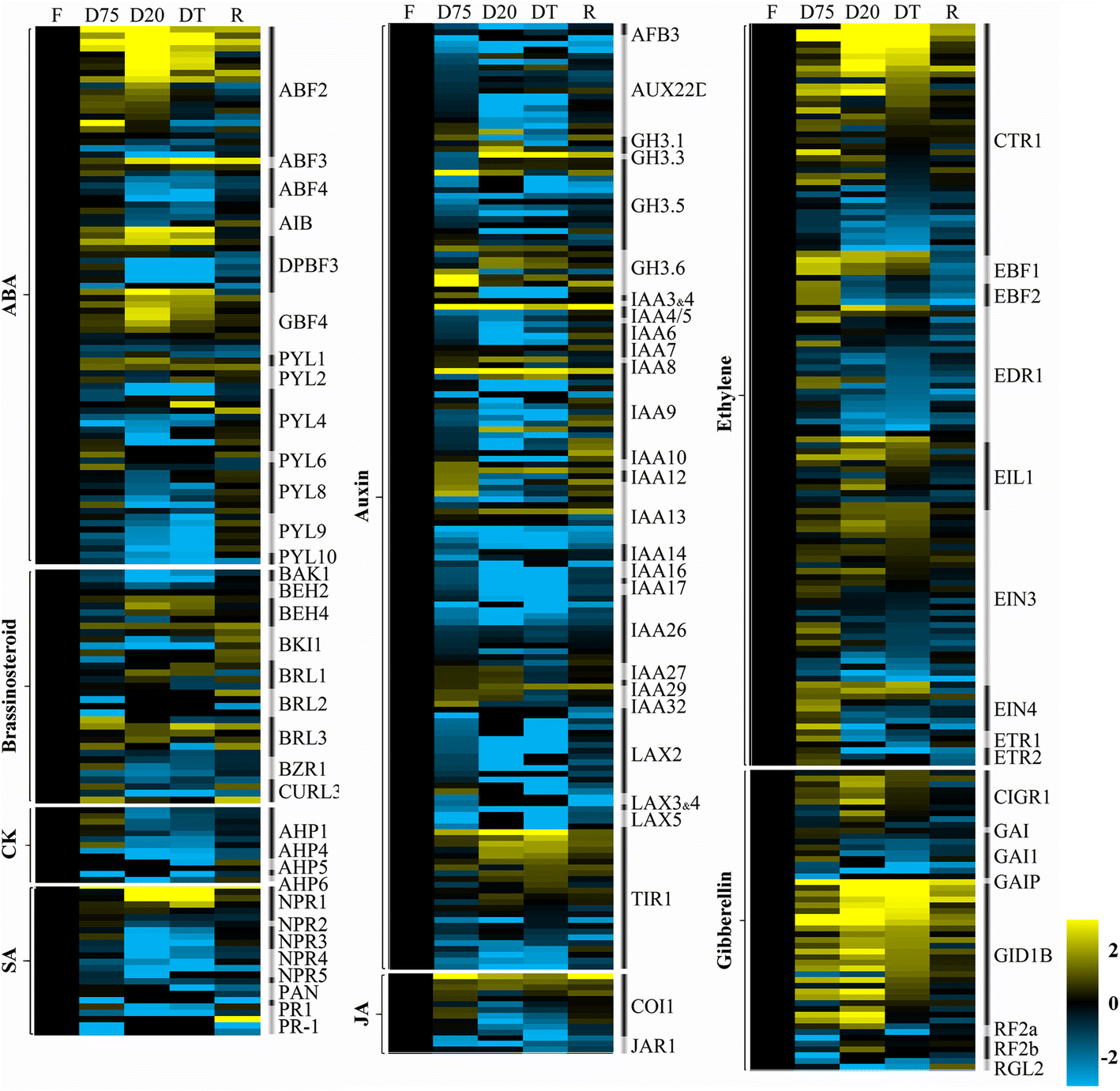 Fig. 6