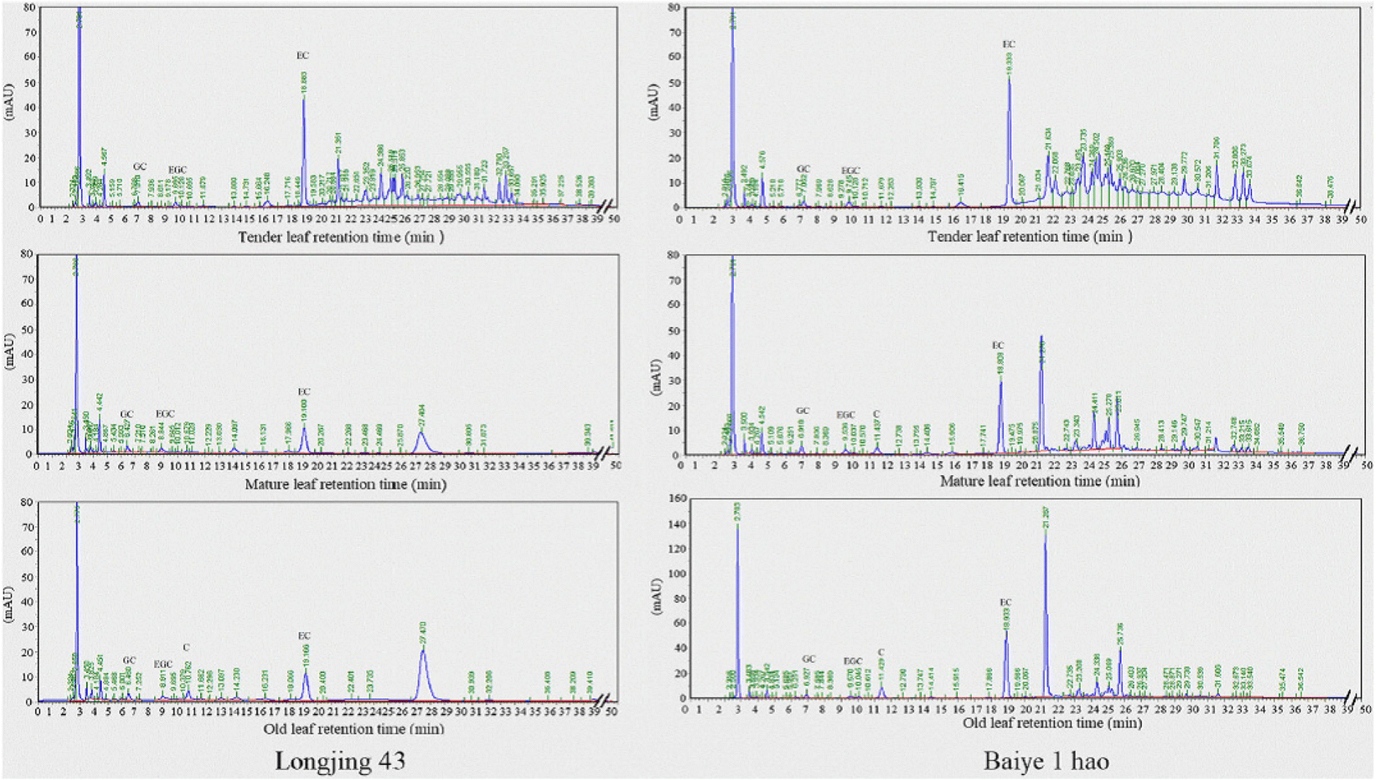 Fig. 10