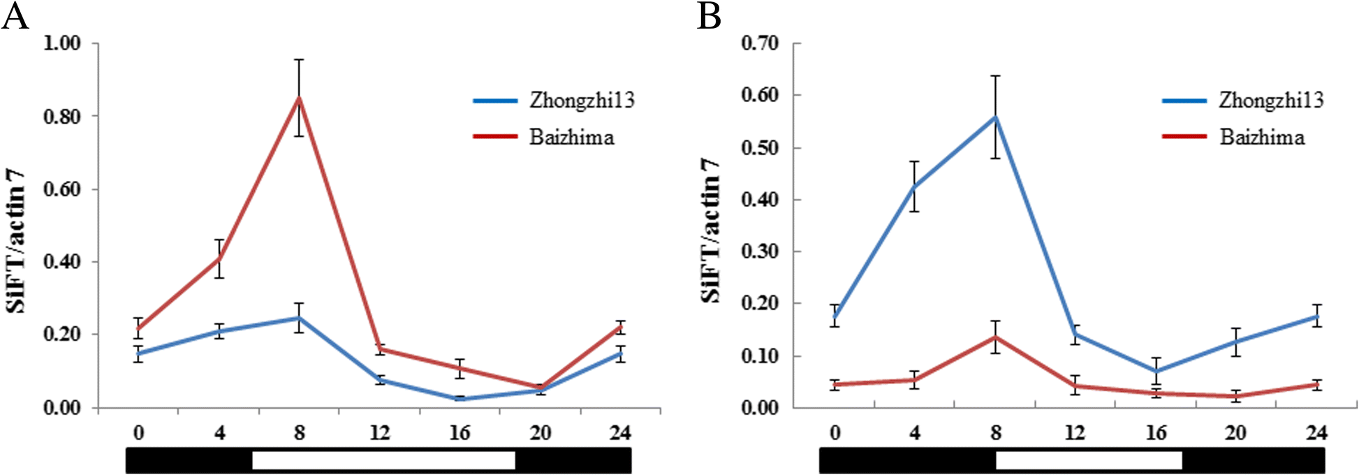 Fig. 9