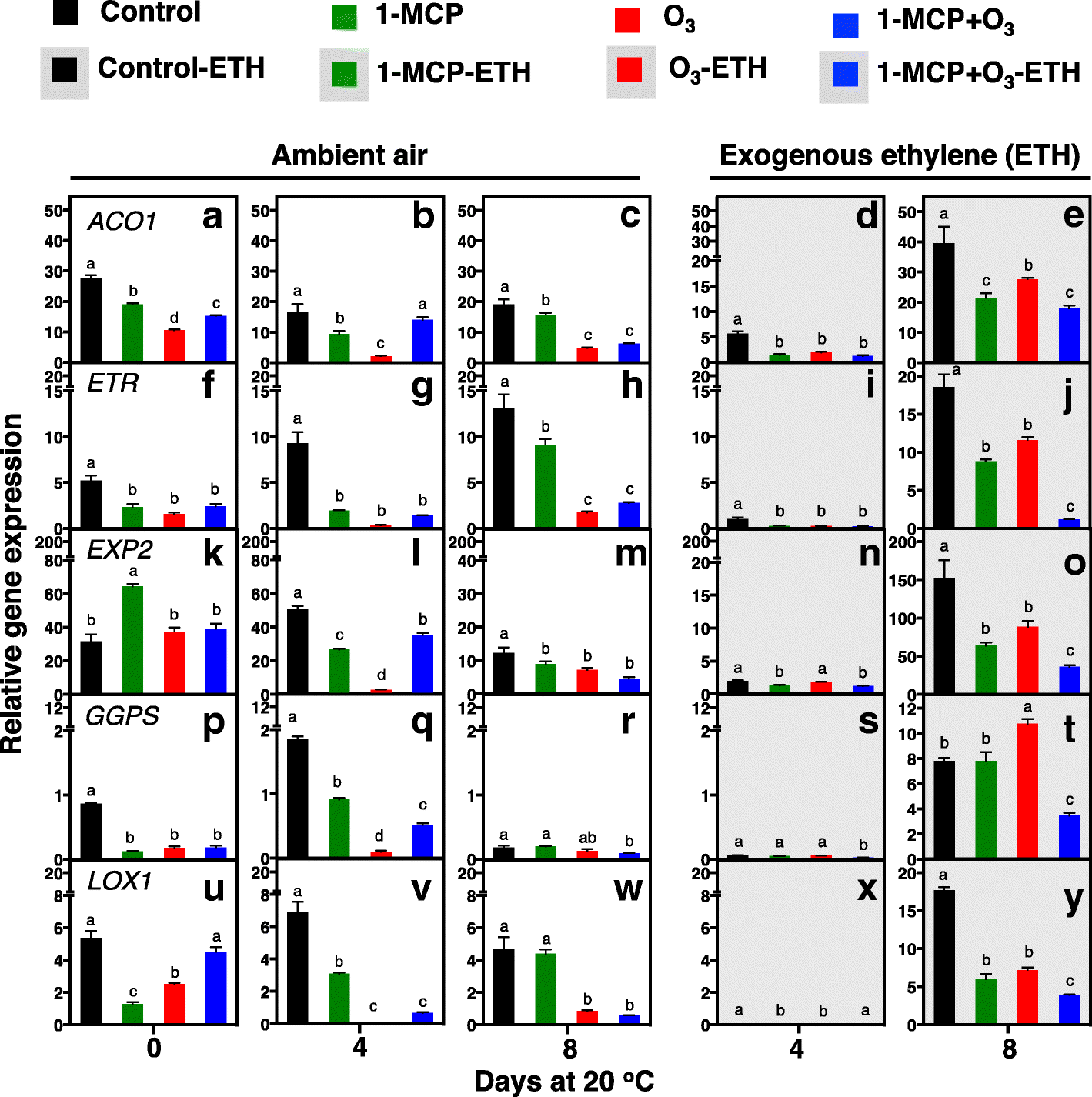 Fig. 11