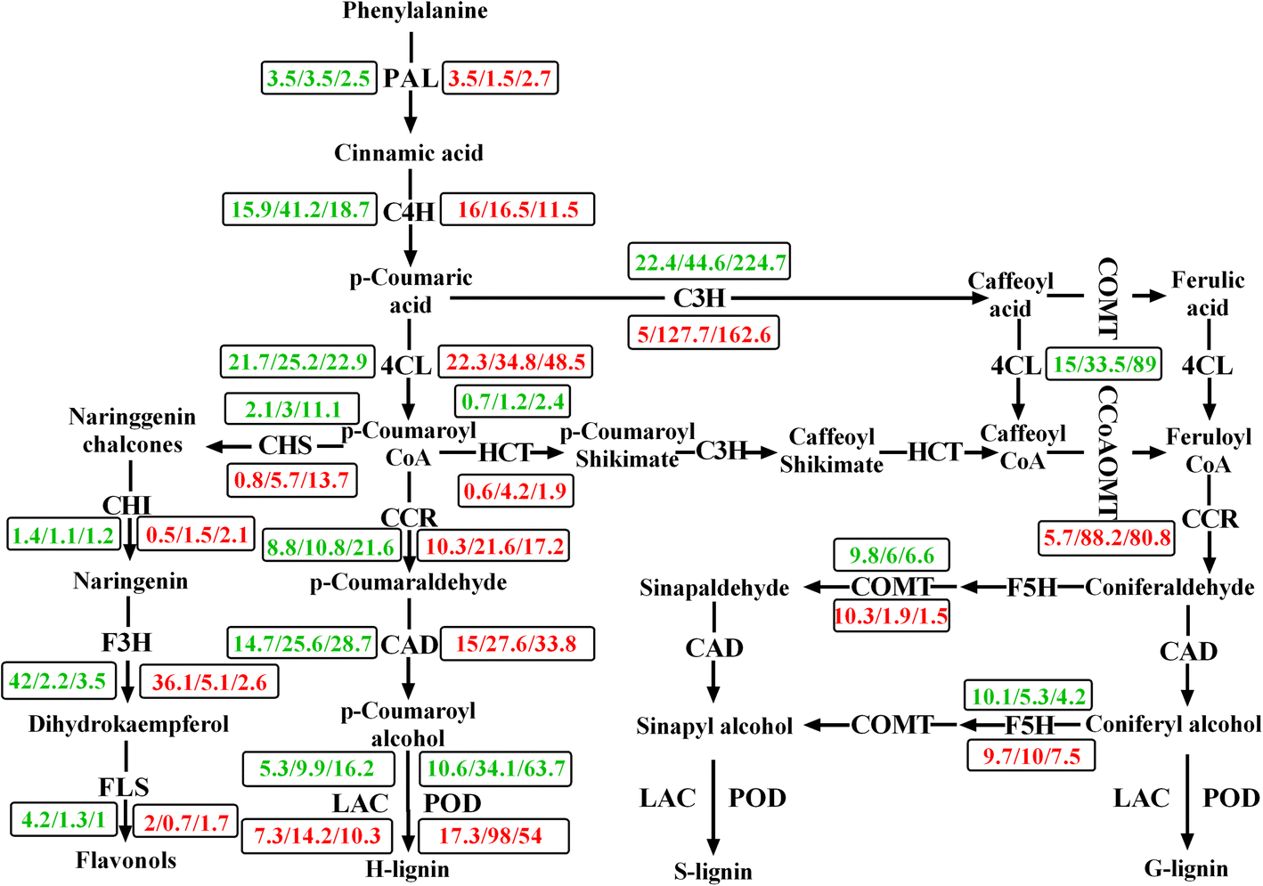 Fig. 9