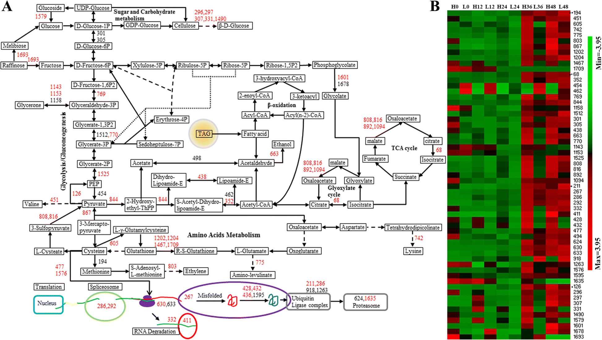 Fig. 8