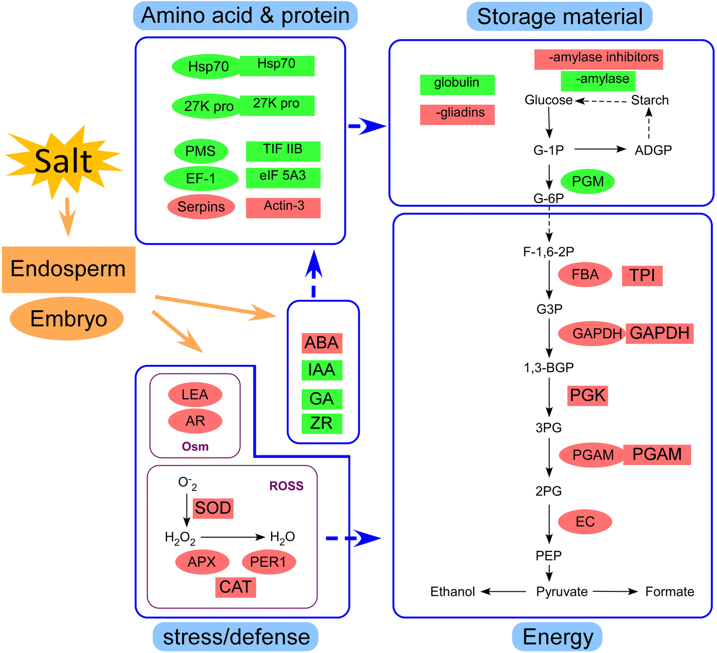 Fig. 9