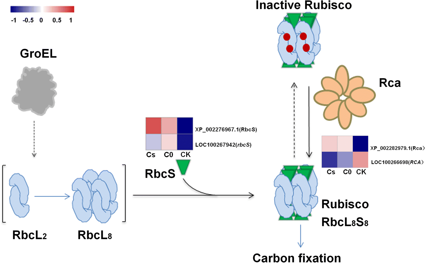 Fig. 4