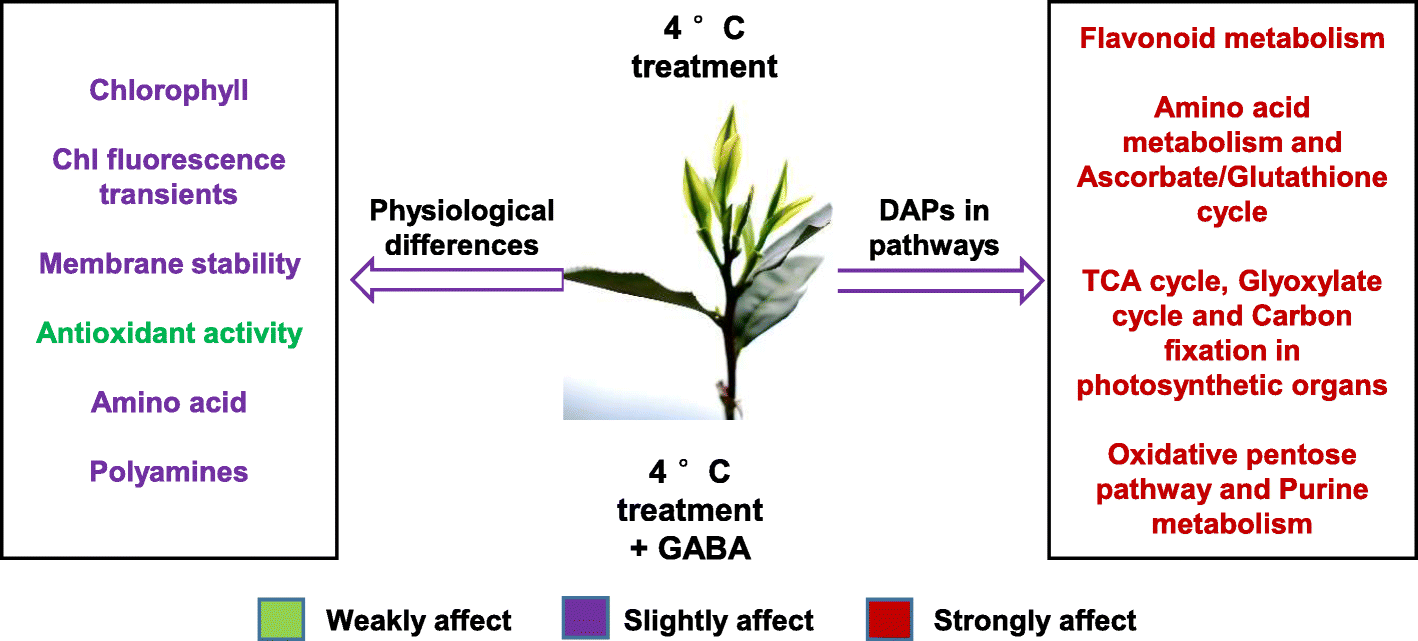 Fig. 11