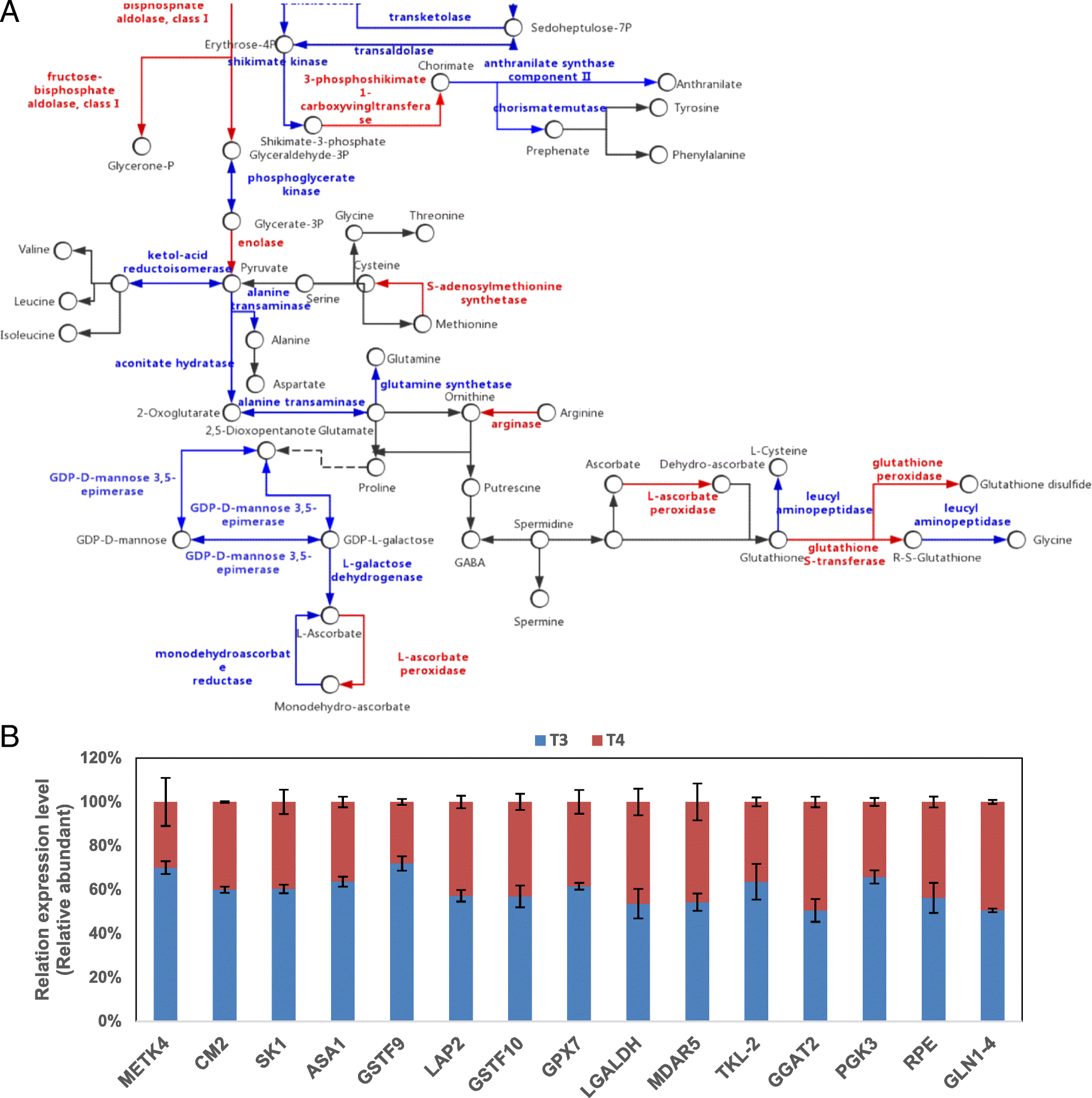 Fig. 8