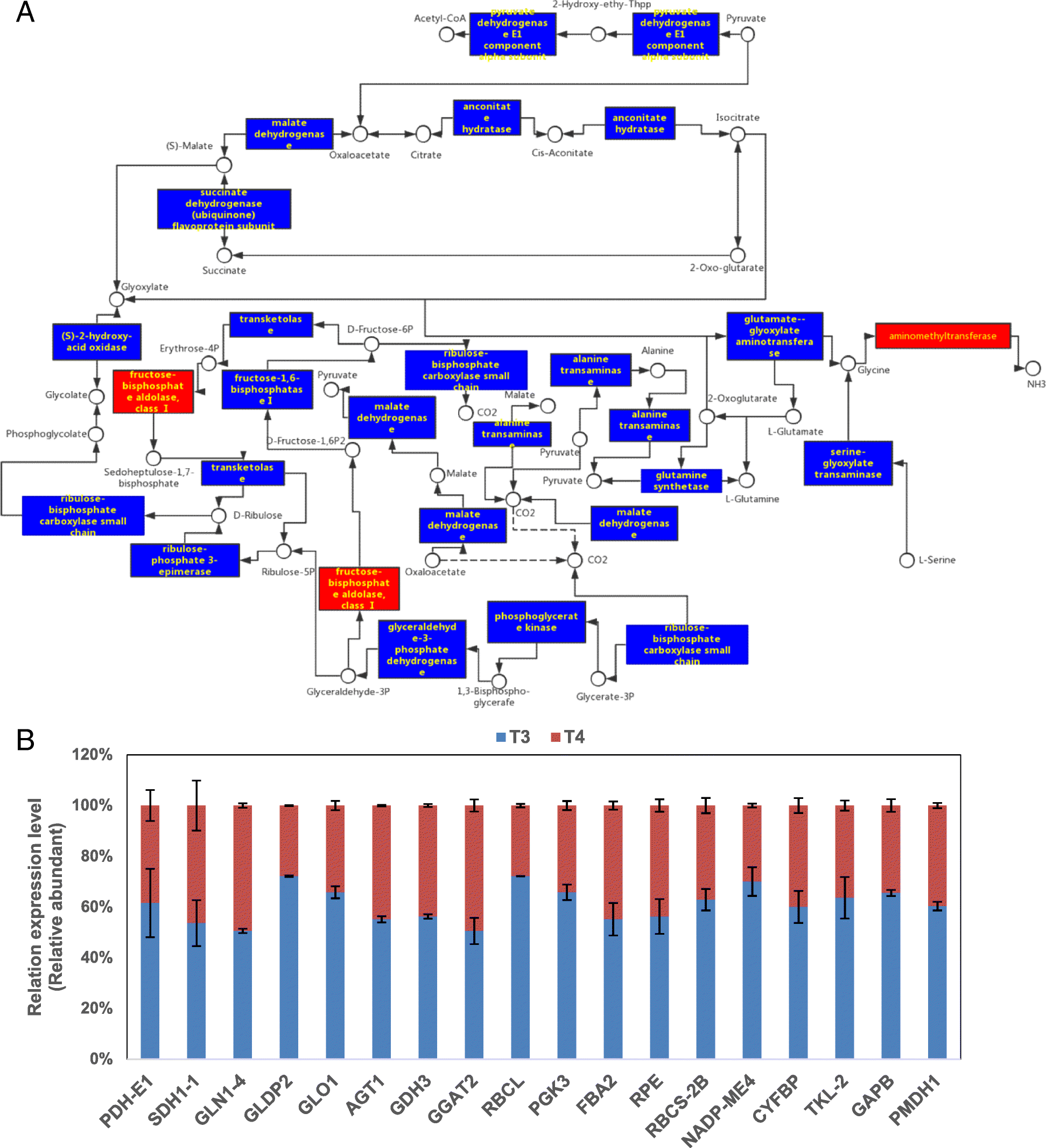 Fig. 9