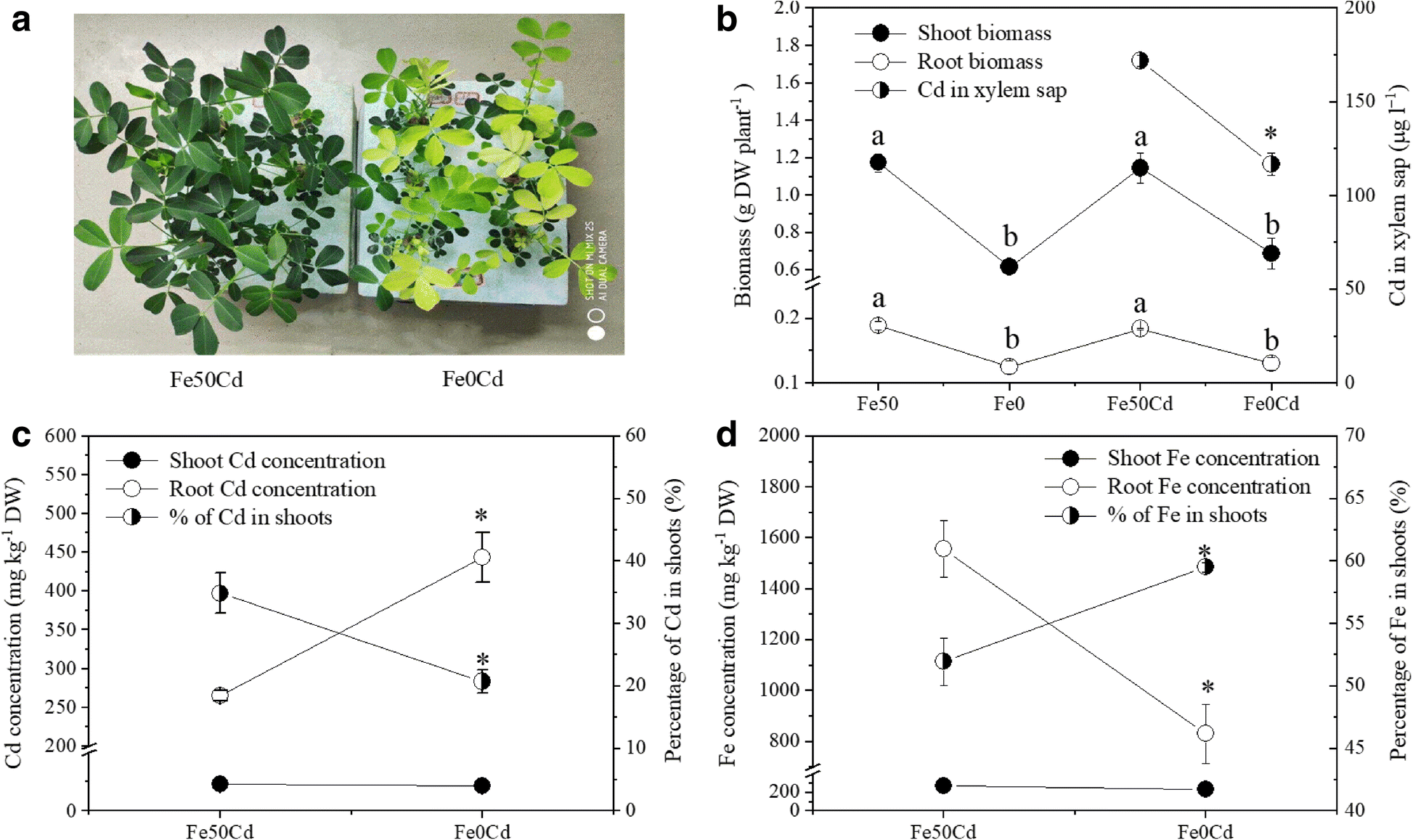 Comparative transcriptome analysis reveals gene network regulating