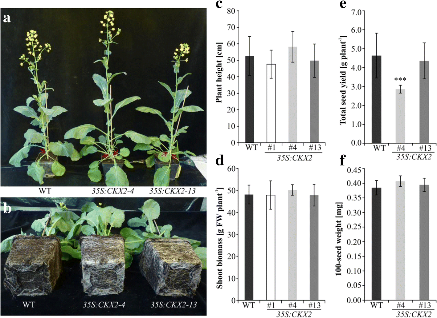 Fig. 4