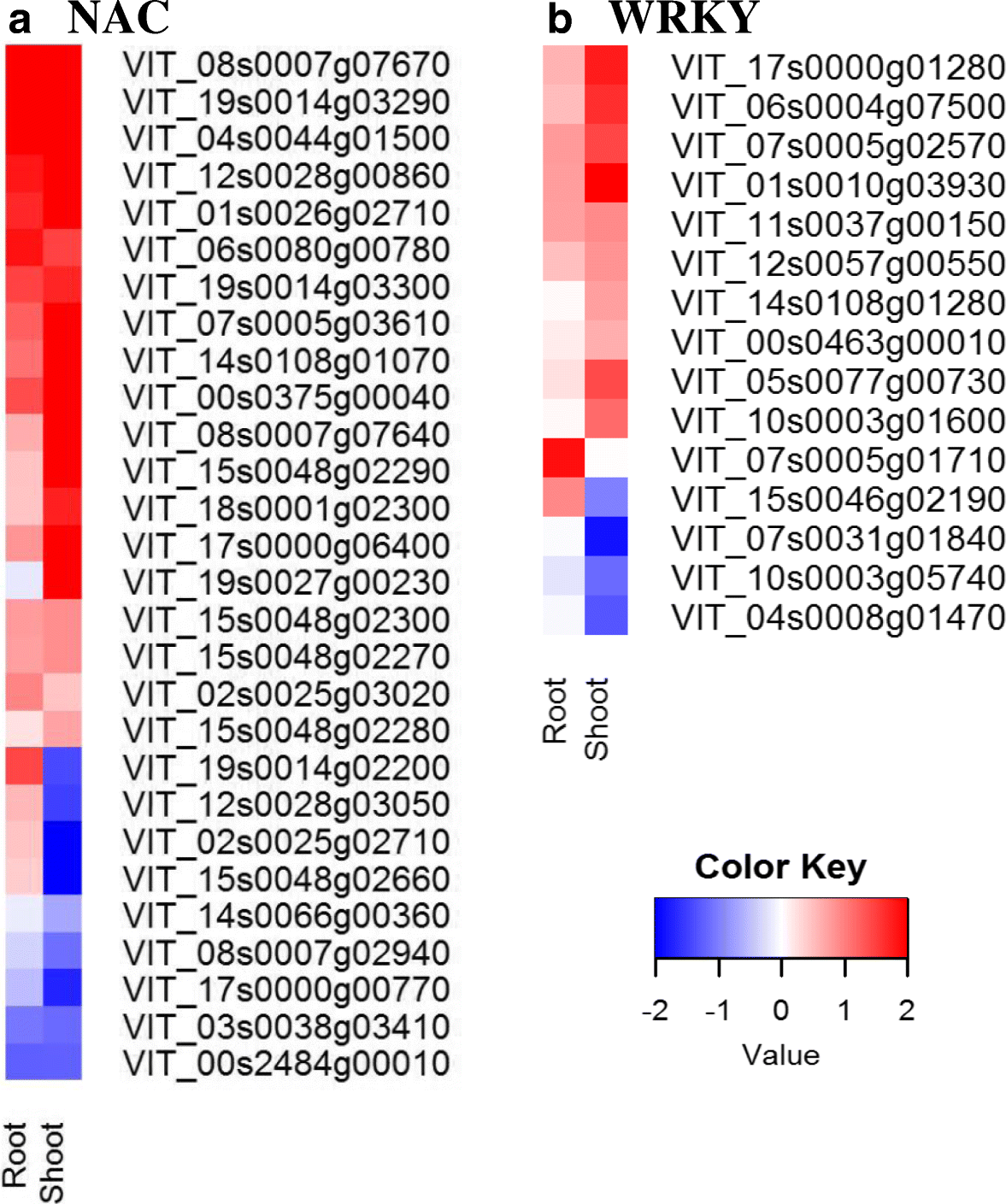 Fig. 7