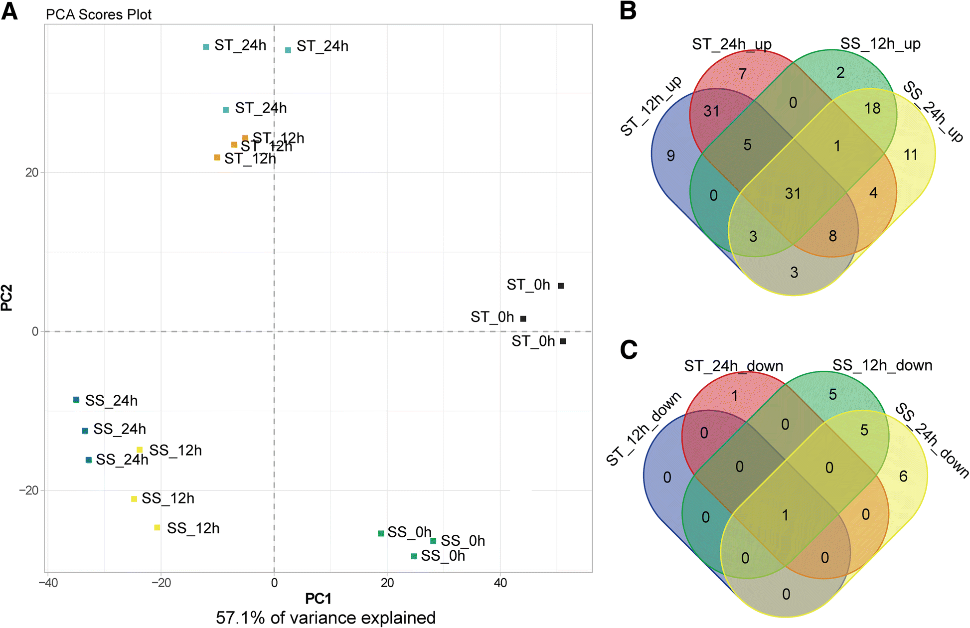 Fig. 4