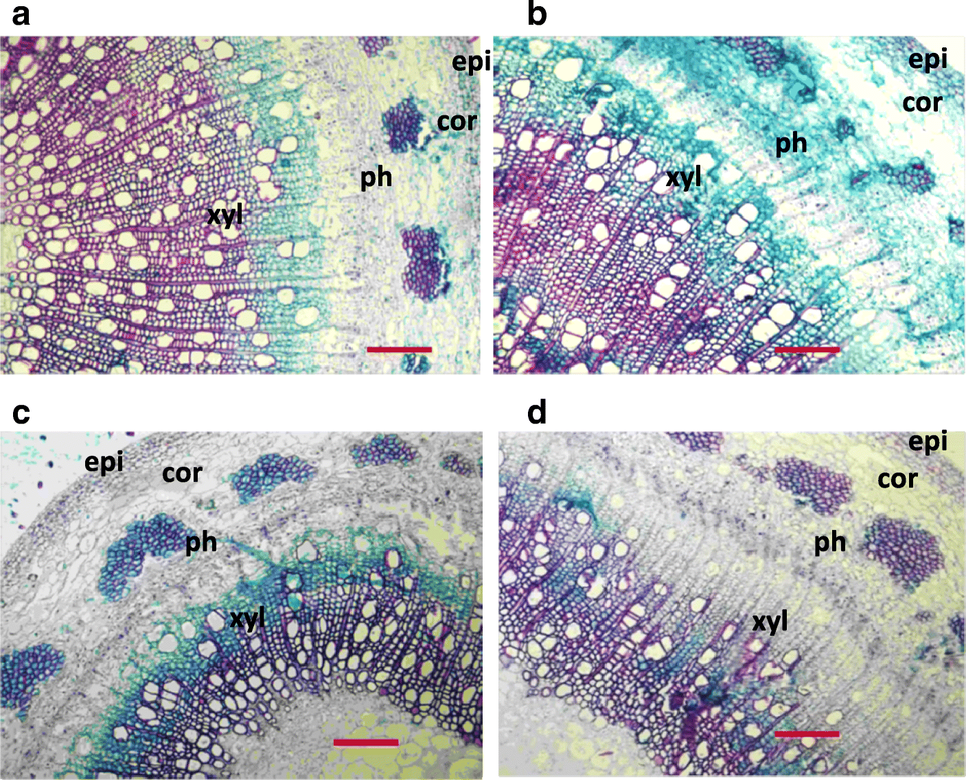 Fig. 4