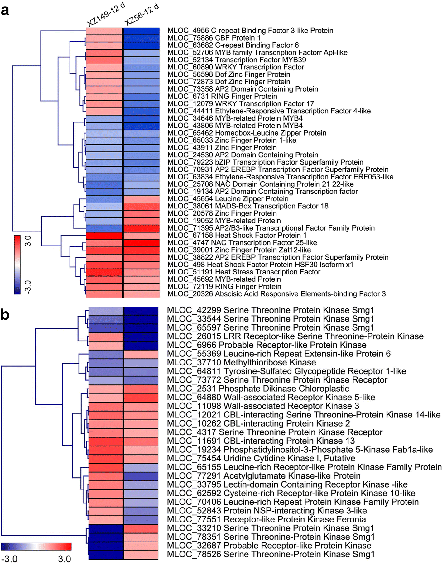 Fig. 5