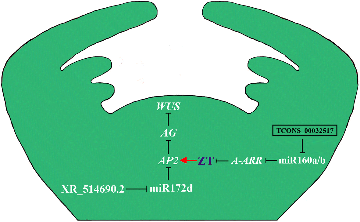 Fig. 9