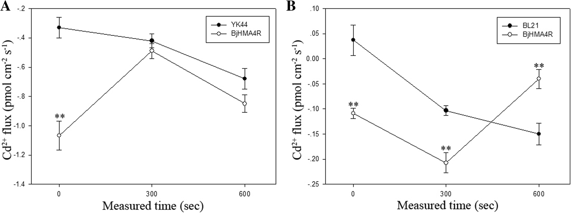 Fig. 12