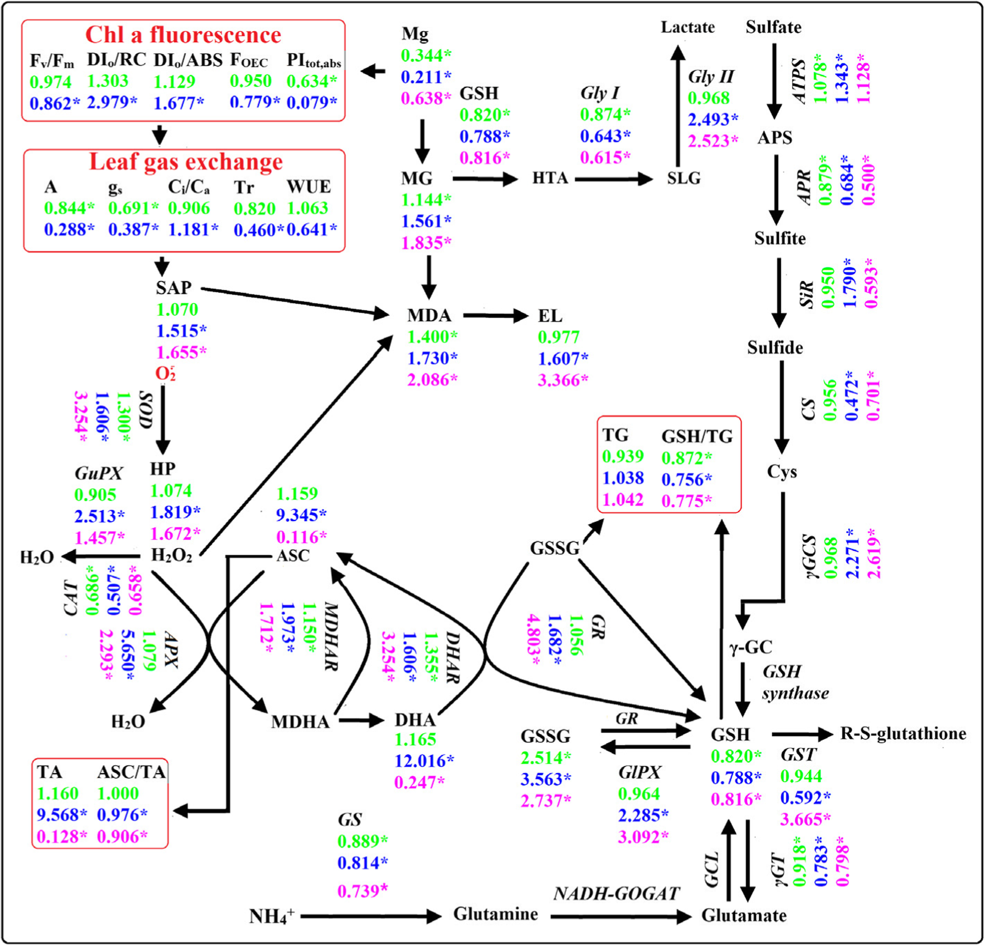 Fig. 12