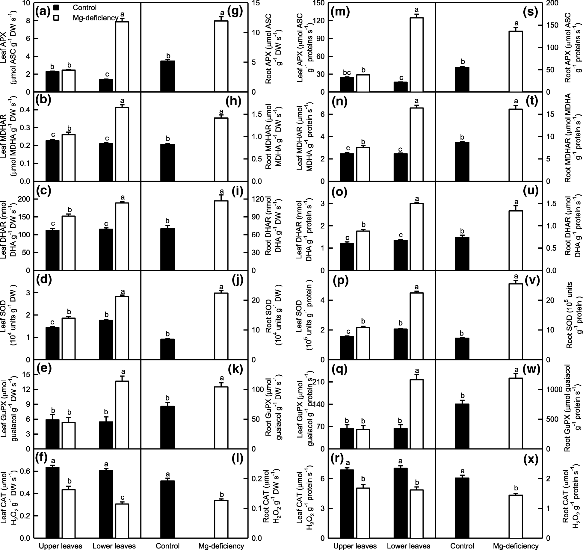 Responses Of Reactive Oxygen Species And Methylglyoxal Metabolisms To Magnesium Deficiency Differ Greatly Among The Roots Upper And Lower Leaves Of Citrus Sinensis Bmc Plant Biology Full Text