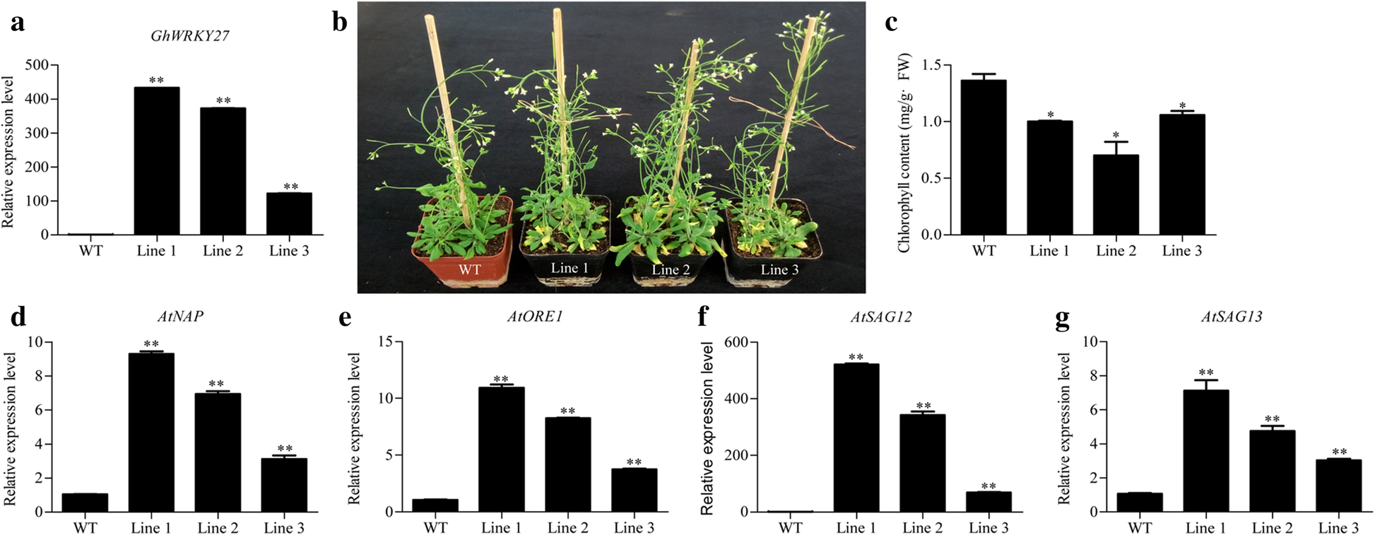 Fig. 3