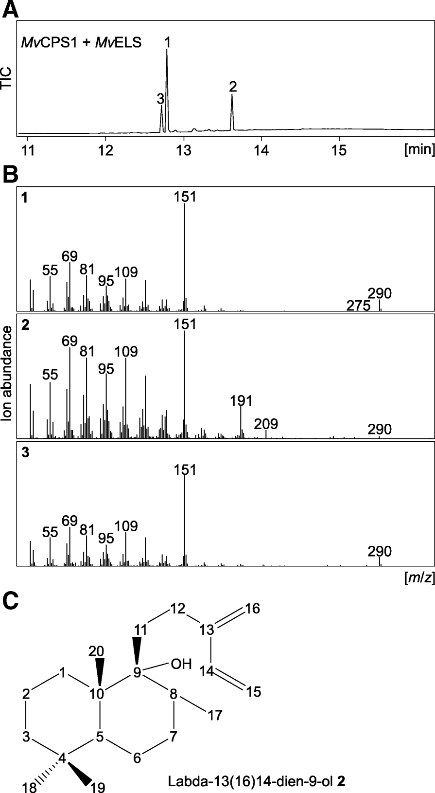 Fig. 3