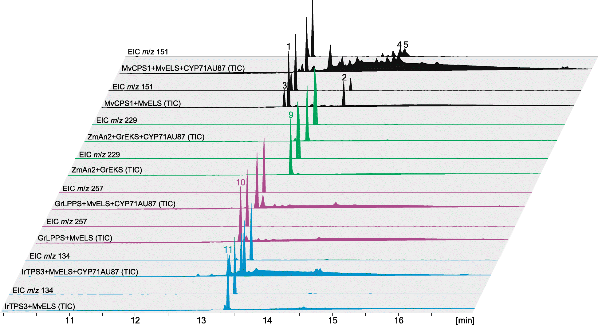 Fig. 5