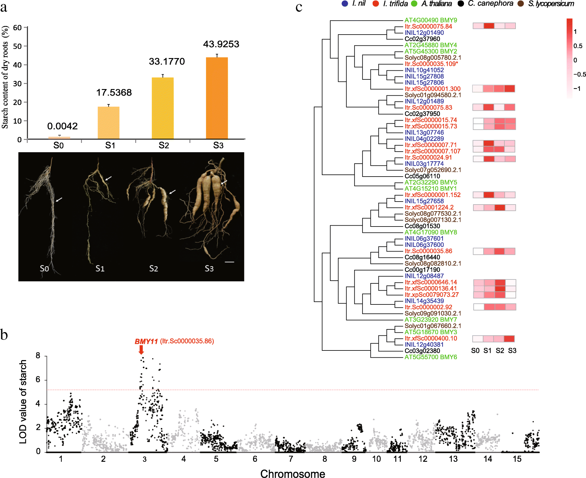 Fig. 3