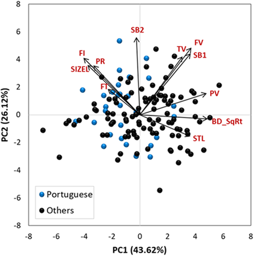 Fig. 2