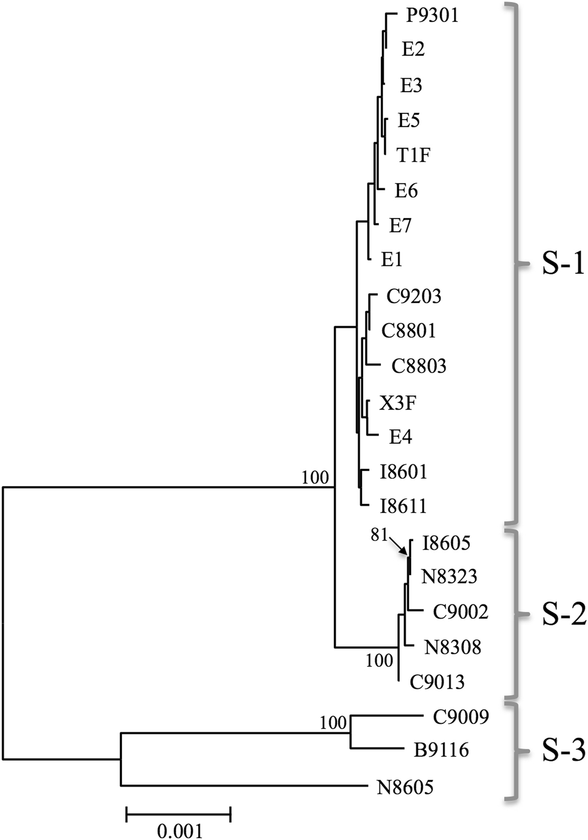 Fig. 3