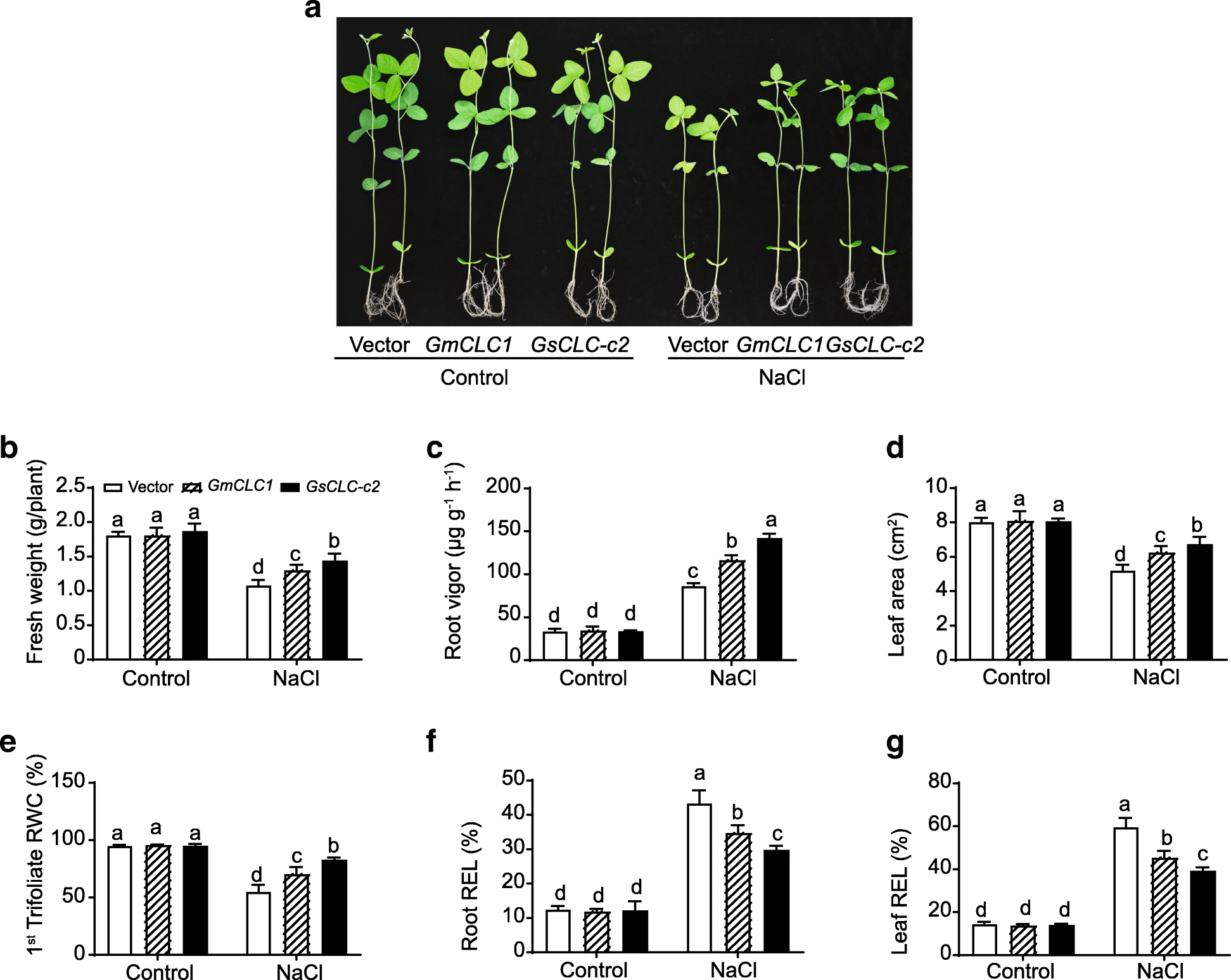 Fig. 5