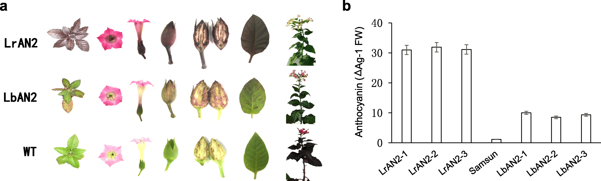 Fig. 4