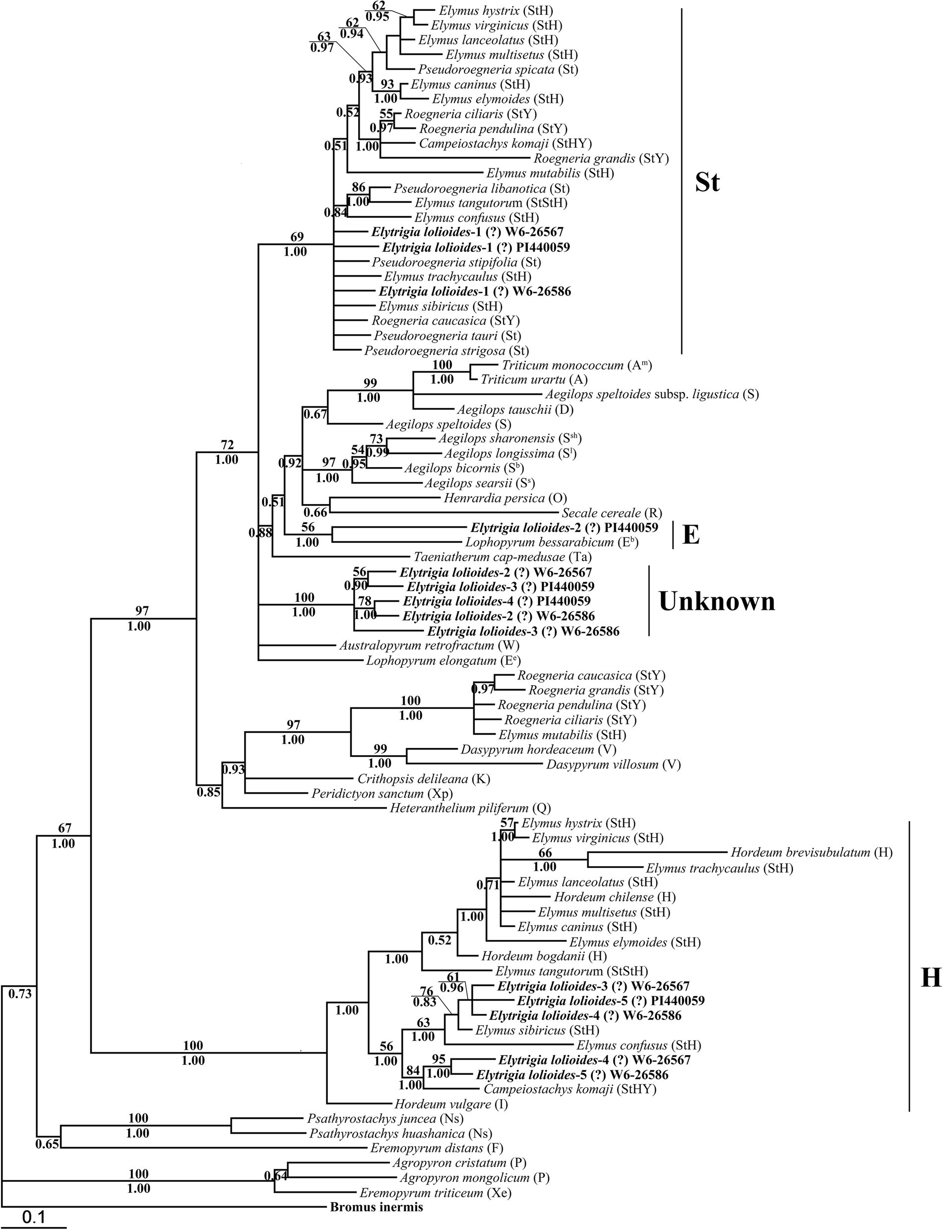 Fig. 4