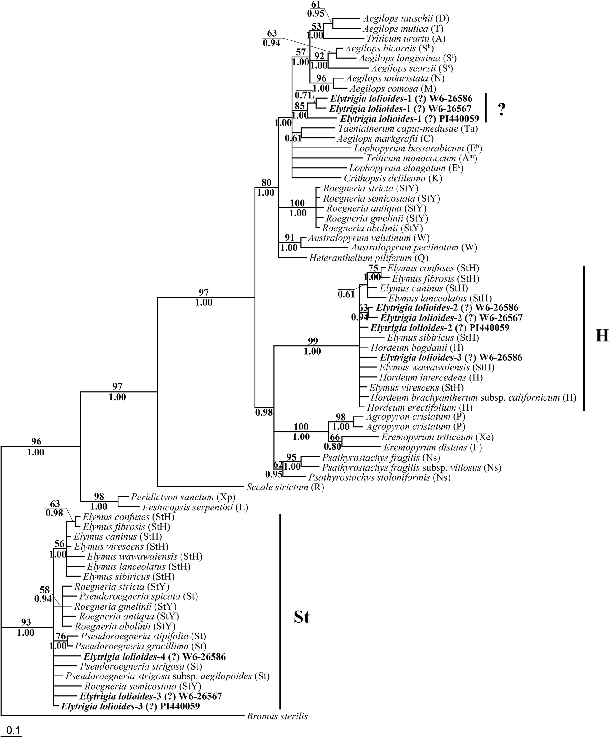 Fig. 5