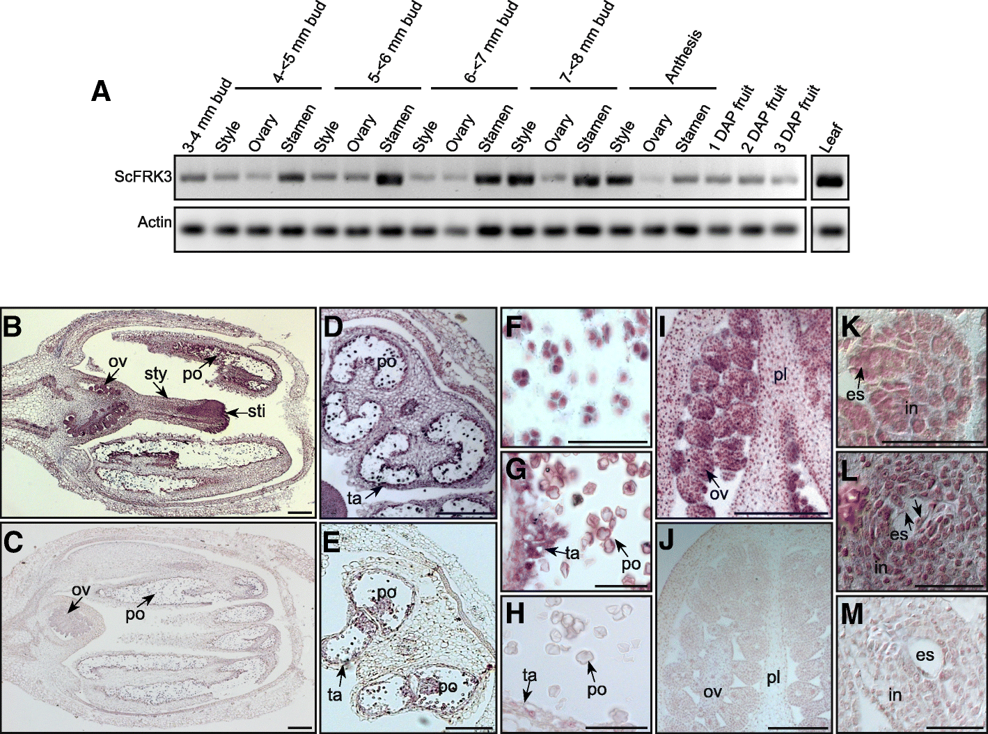 图2gydF4y2Ba