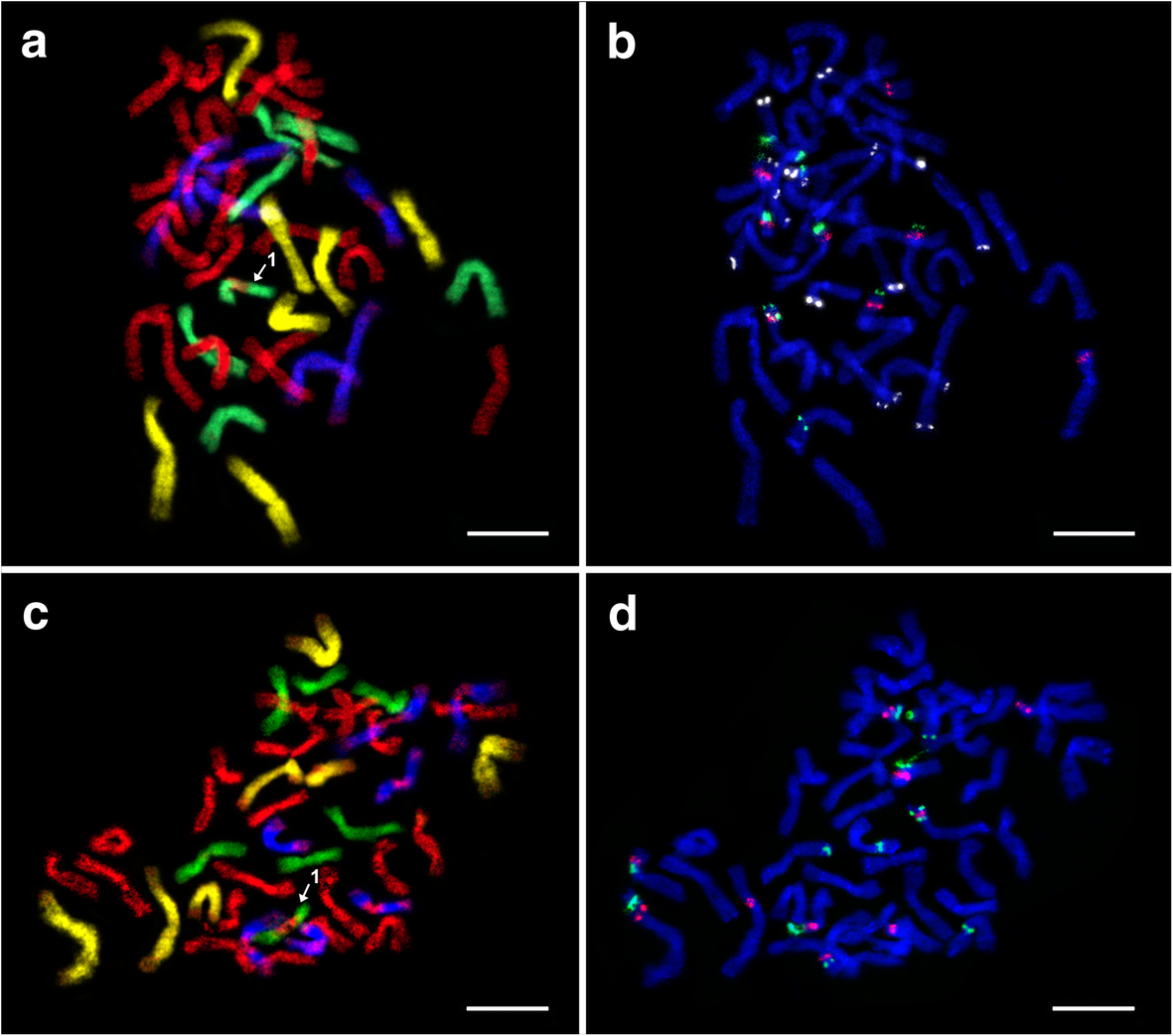 Fig. 2