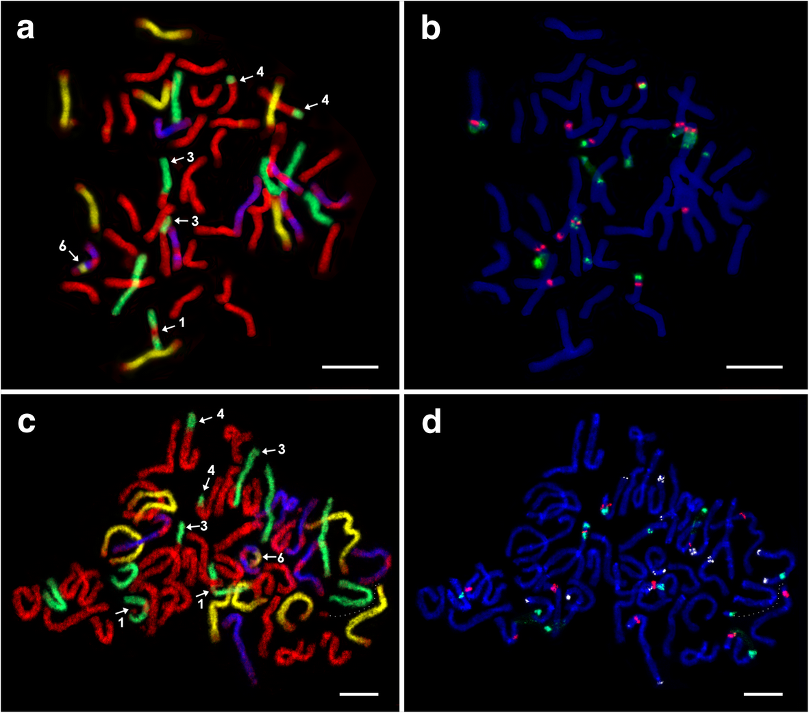 Fig. 4