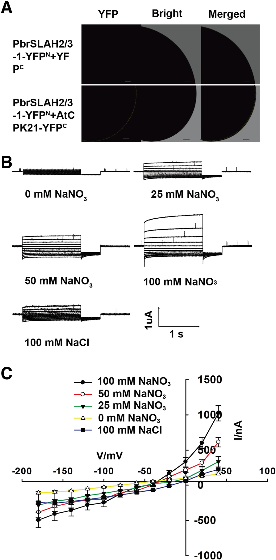 Fig. 5