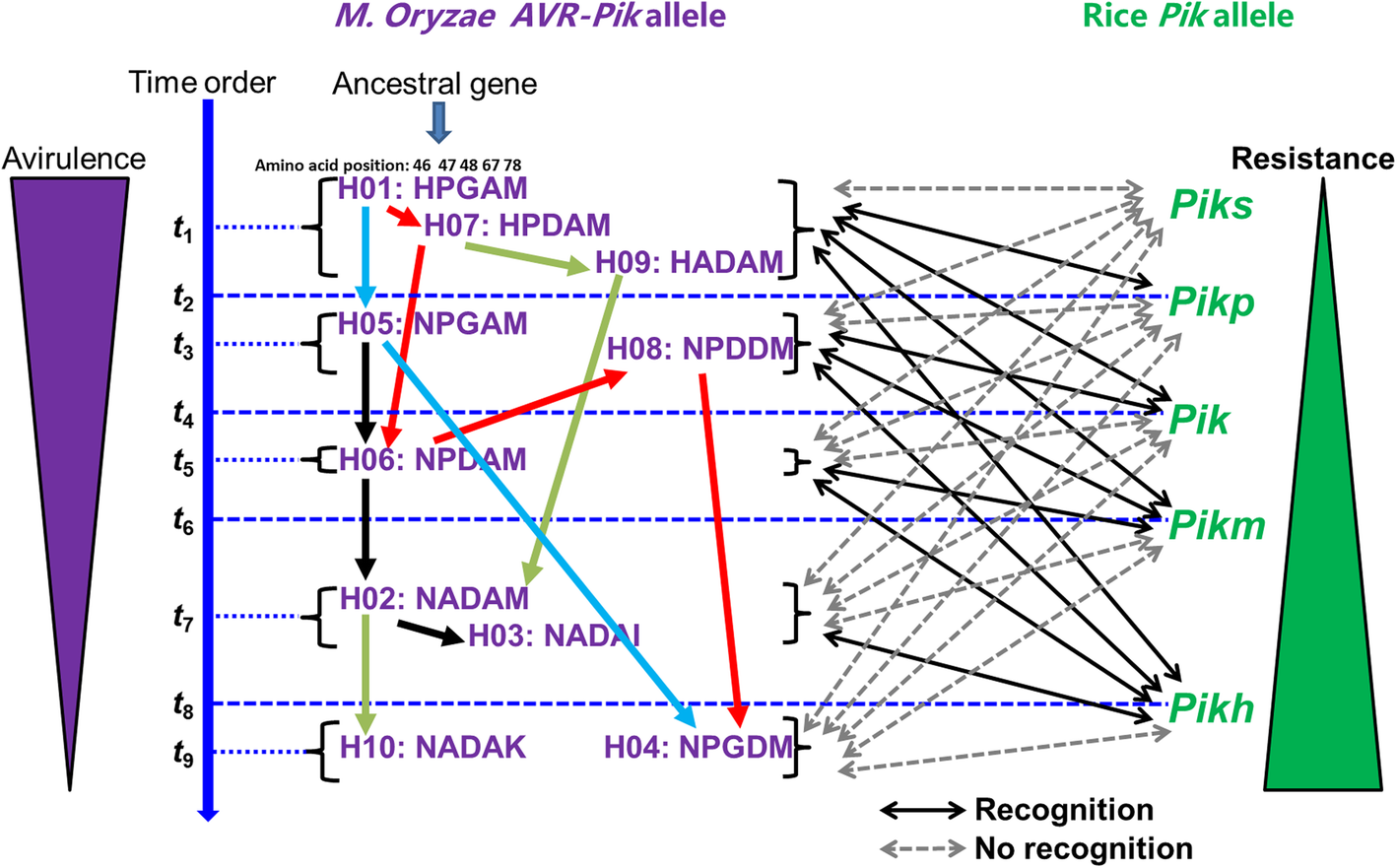 Fig. 2