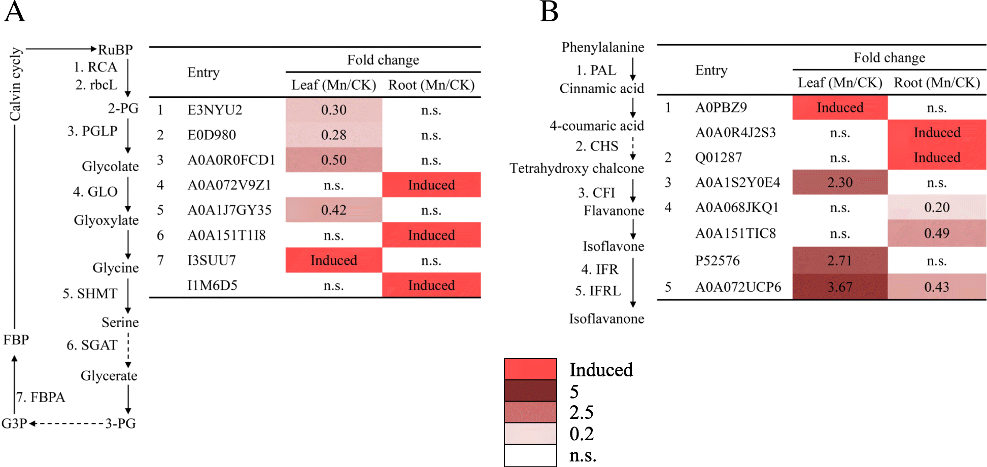 Fig. 7