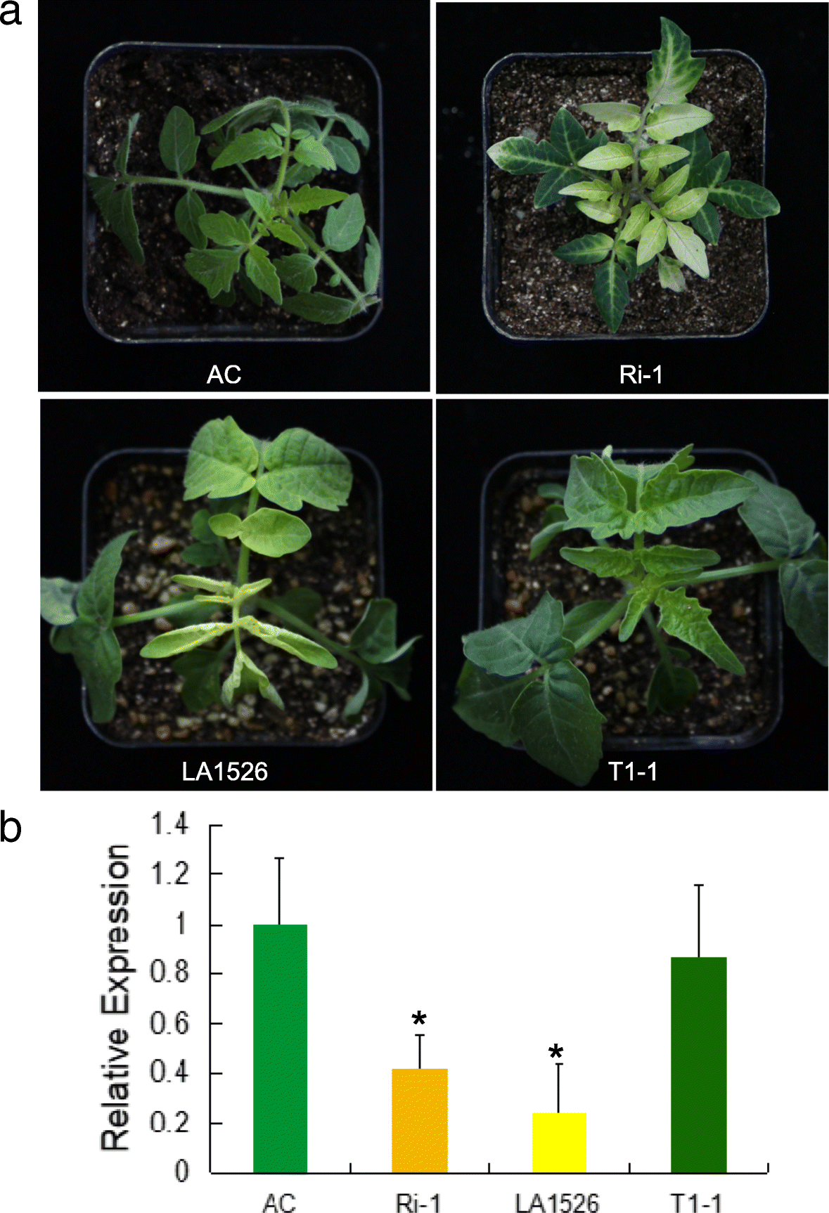 Fig. 4