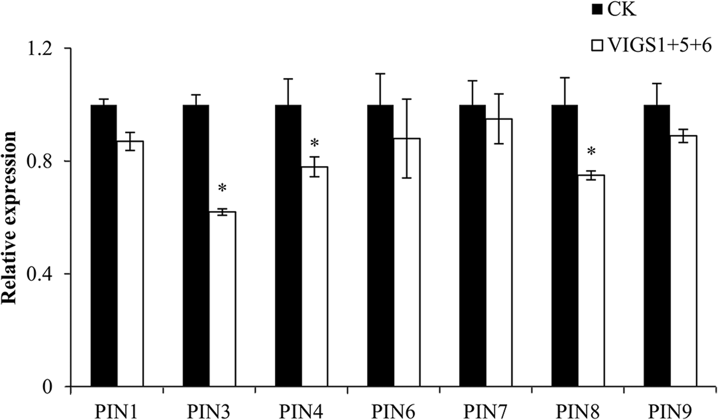 Fig. 11